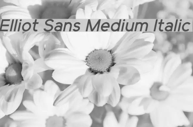 Elliot Sans Medium Italic Example 3