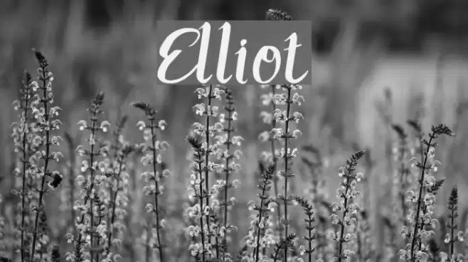 Elliot Font examples