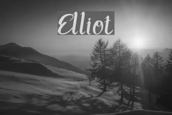 Elliot Font examples