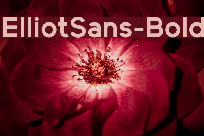 ElliotSans-Bold Font examples
