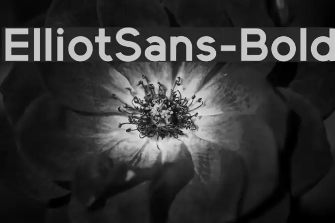 ElliotSans-Bold Example 2