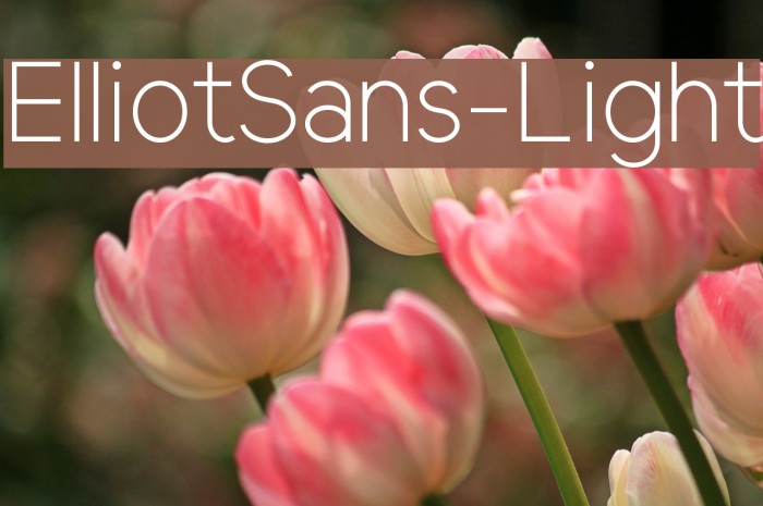 ElliotSans-Light Font examples
