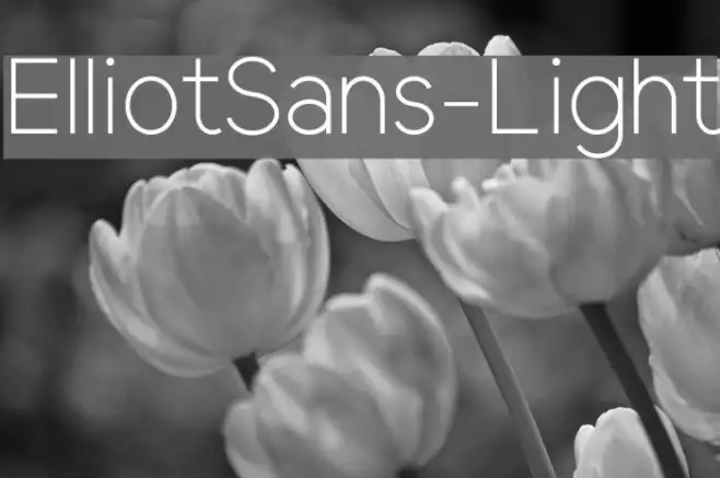 ElliotSans-Light Example 1