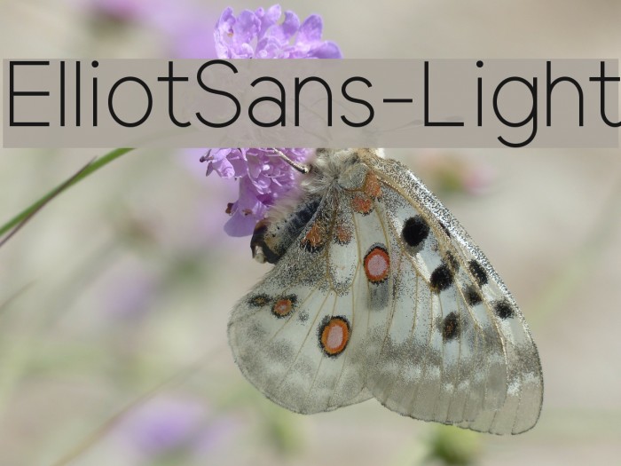 ElliotSans-Light Font examples