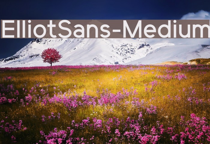 ElliotSans-Medium Font examples
