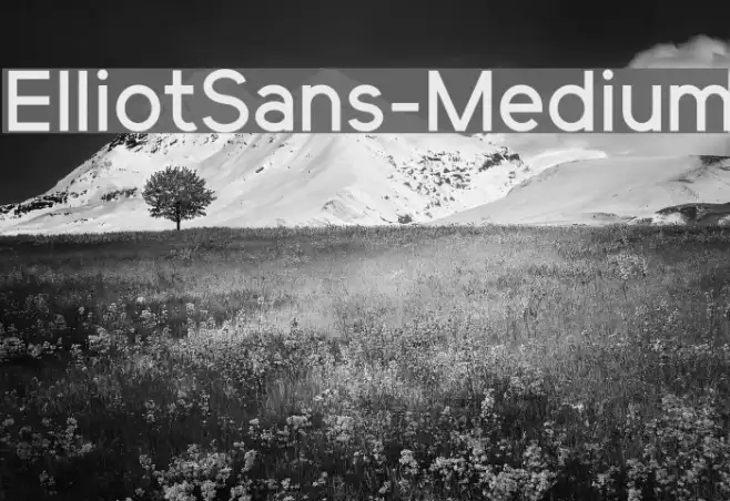 ElliotSans-Medium Example 1