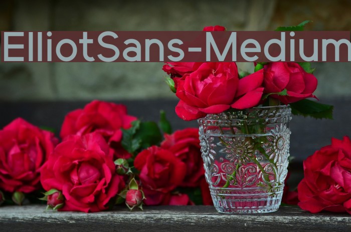 ElliotSans-Medium Font examples