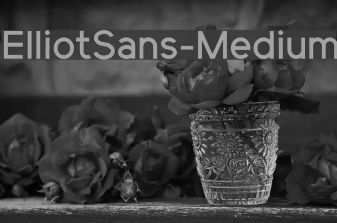 ElliotSans-Medium Example 3