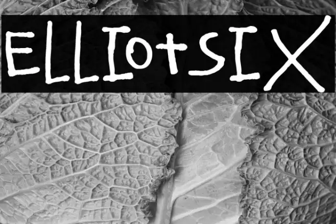 ElliotSix Example 2