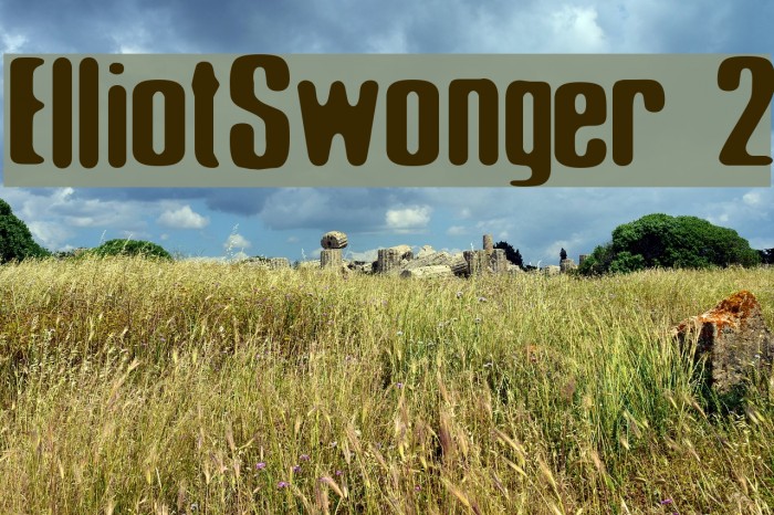Elliot_Swonger 2 Font examples