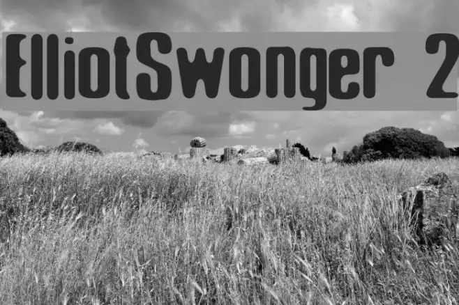 Elliot_Swonger 2 Example 1