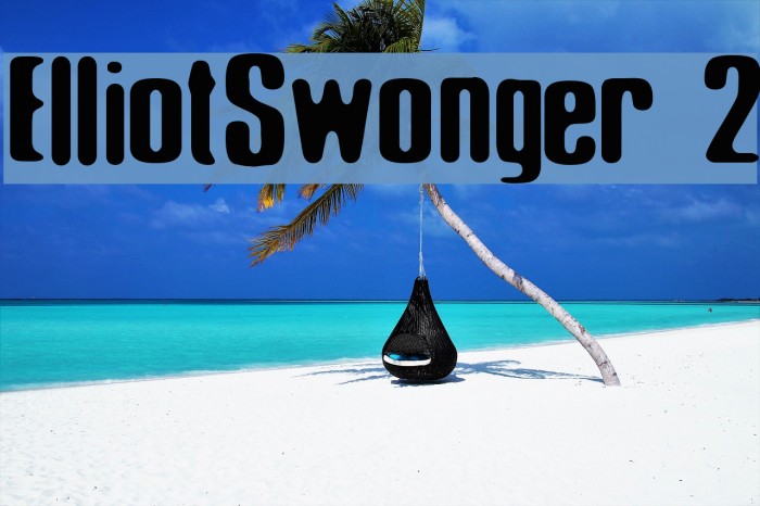 Elliot_Swonger 2 Font examples