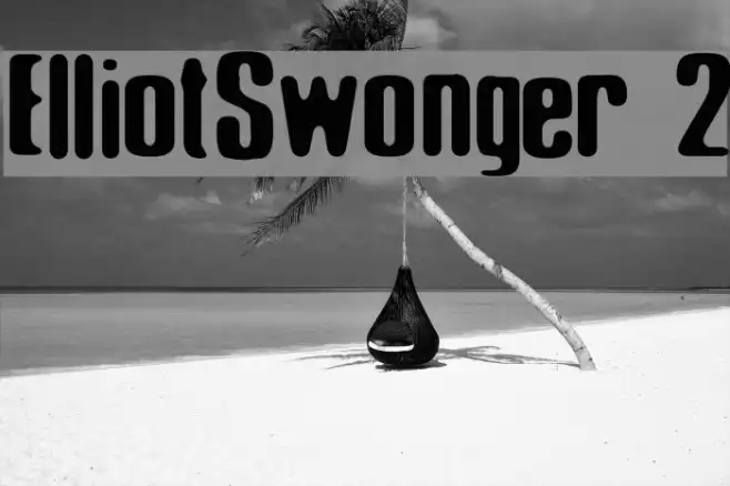 Elliot_Swonger 2 Example 2