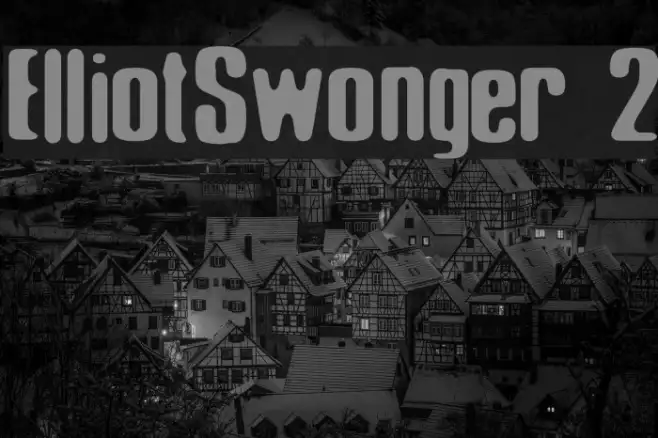 Elliot_Swonger 2 Example 3