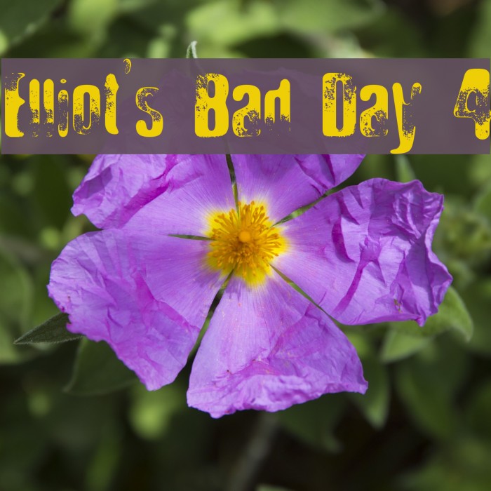 Elliot's Bad Day 4 Font examples