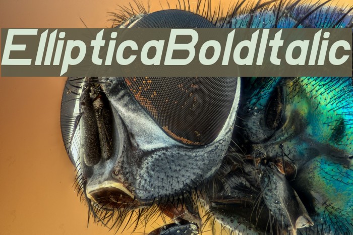 EllipticaBoldItalic Font examples