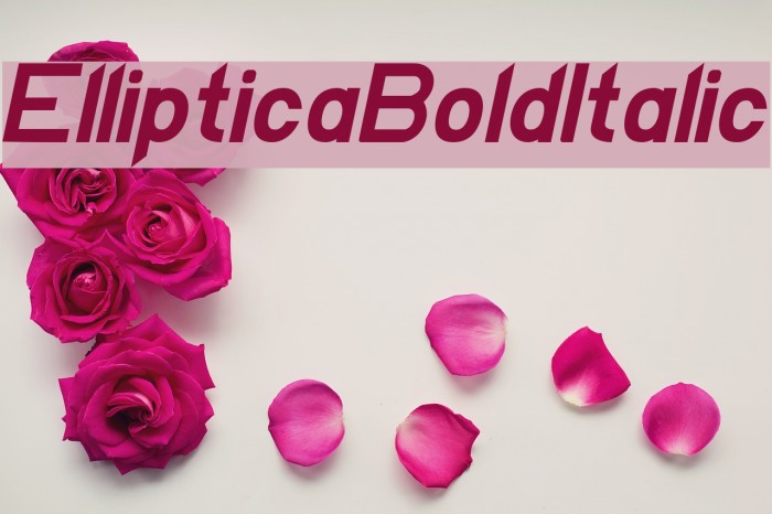 EllipticaBoldItalic Font examples