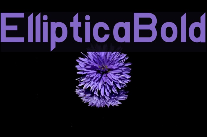 EllipticaBold Example 2