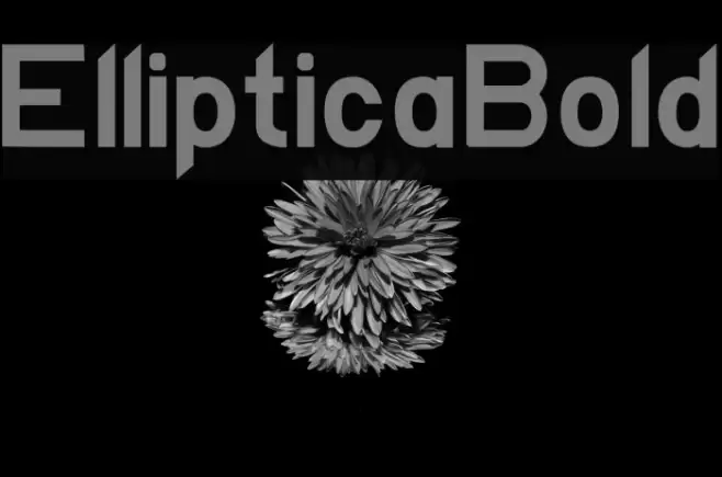 EllipticaBold Font examples