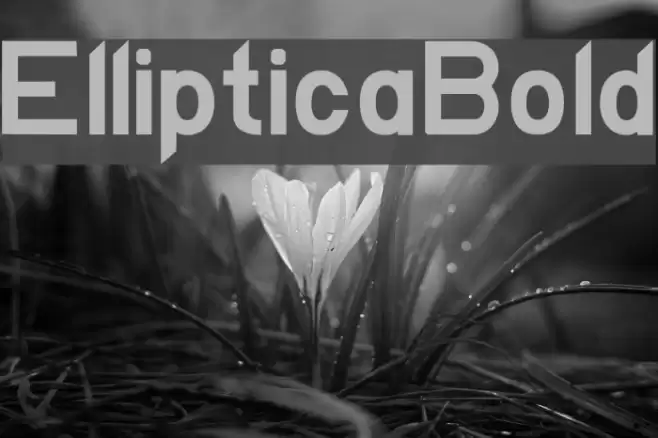EllipticaBold Font examples