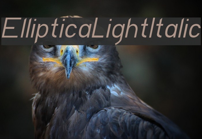 EllipticaLightItalic Font examples