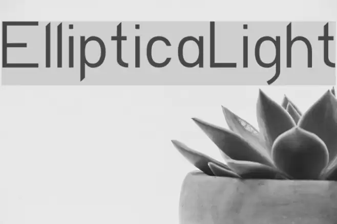 EllipticaLight Font examples