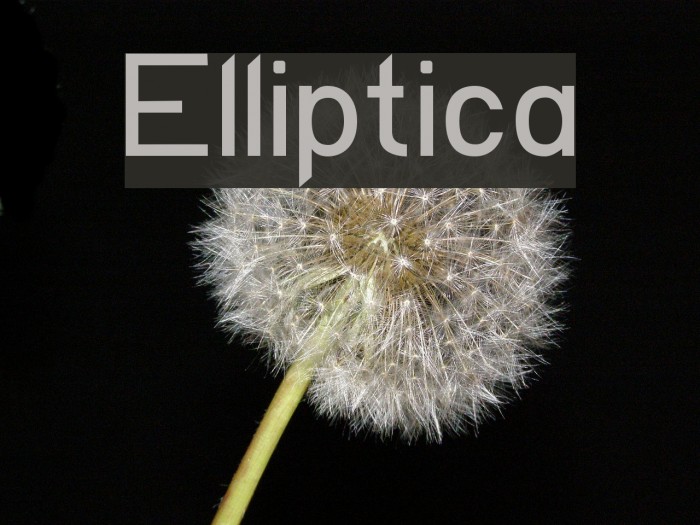Elliptica Font examples