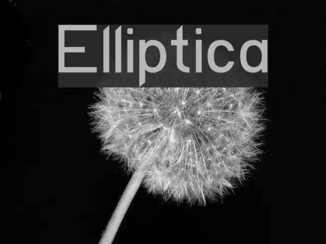 Elliptica Example 1