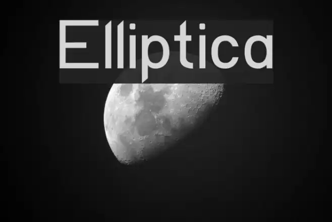 Elliptica Example 2