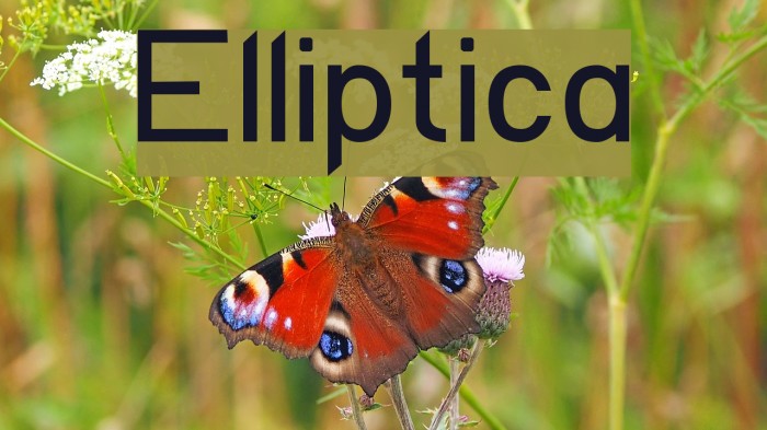 Elliptica Font examples
