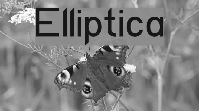 Elliptica Example 3