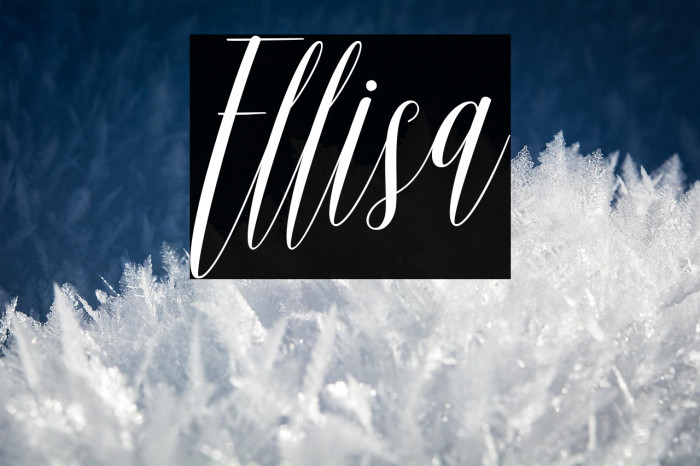 Ellisa Example 1