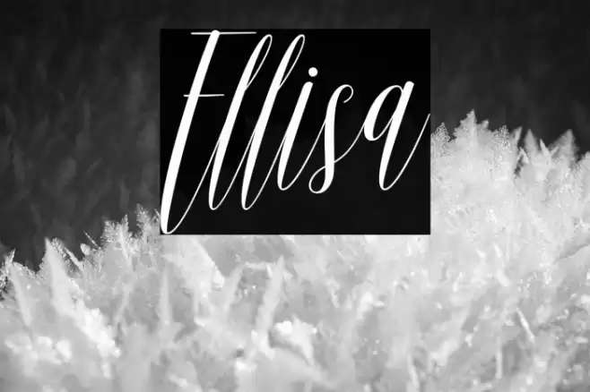 Ellisa Font examples