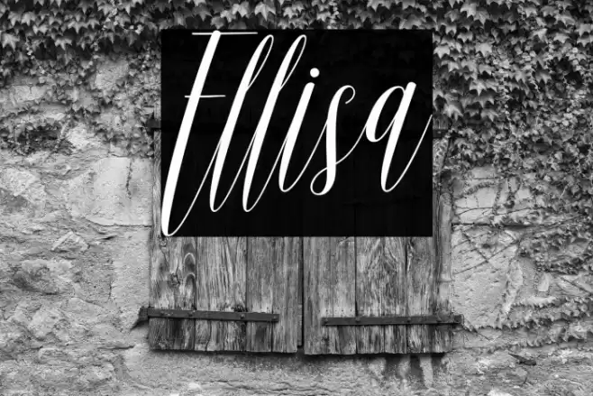 Ellisa Font examples