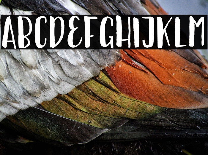 Ellise Naomy Demo Regular Example 1