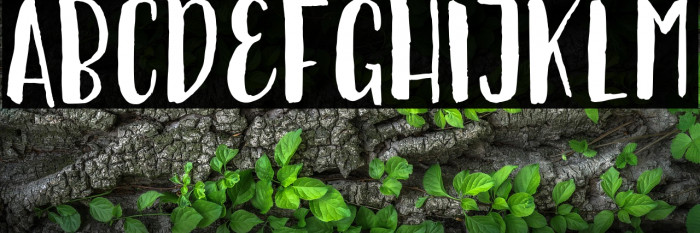 Ellise Naomy Demo Regular Example 2