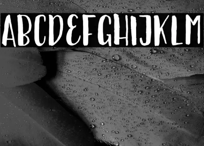 Ellise Naomy Demo Regular Font examples