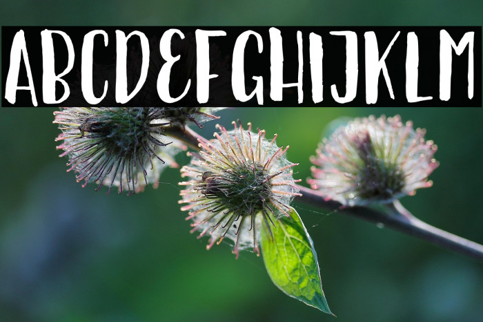 Ellise Naomy Demo Regular Example 3