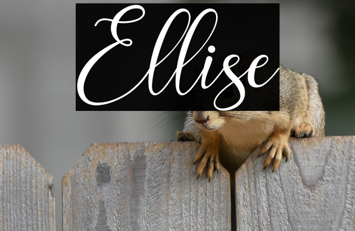 Ellise Example 2