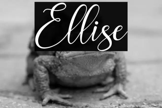 Ellise Example 3