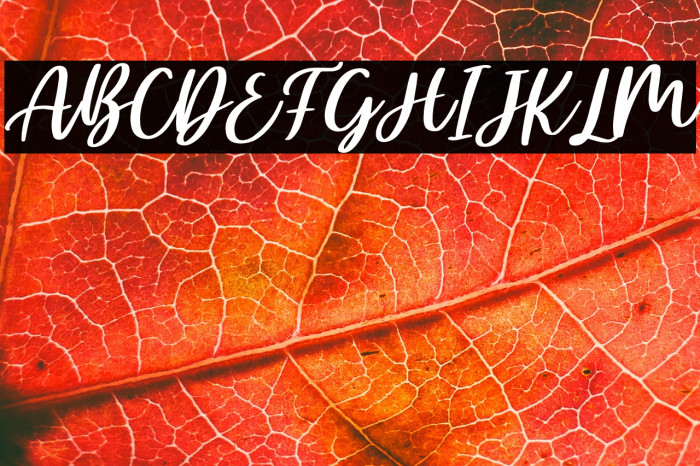 Ellisha Italic Example 1