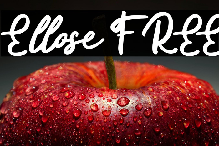 Ellose FREE Example 1