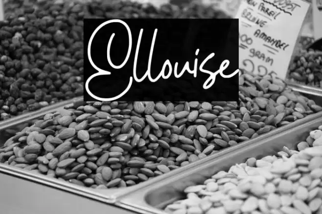 Ellouise Font examples
