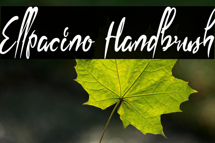 Ellpacino Handbrush Example 1