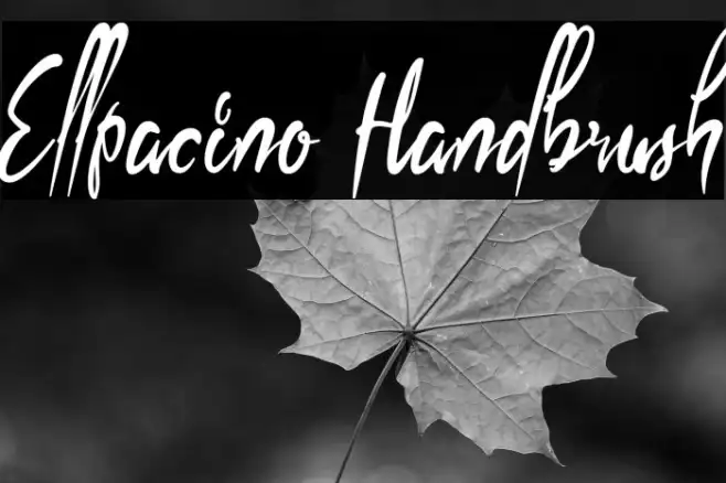 Ellpacino Handbrush Example 1