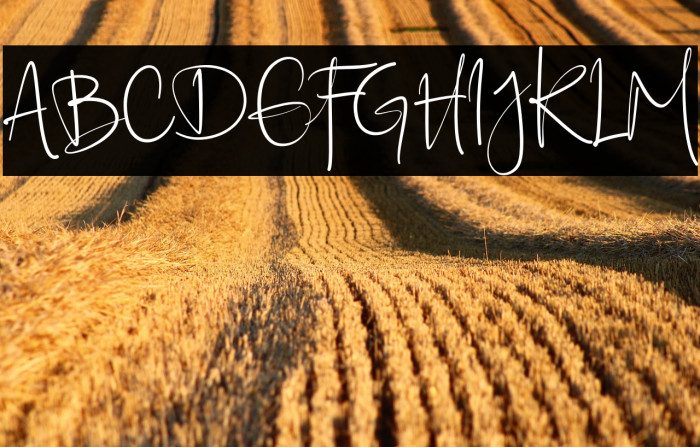 Ellyshabeth Example 1