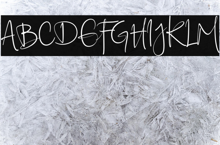 Ellyshabeth Example 2