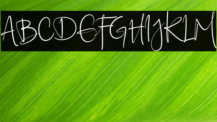 Ellyshabeth Example 3