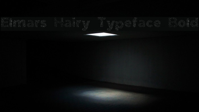 Elmars Hairy Typeface Bold Font examples