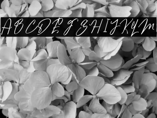 Elmatia Font examples